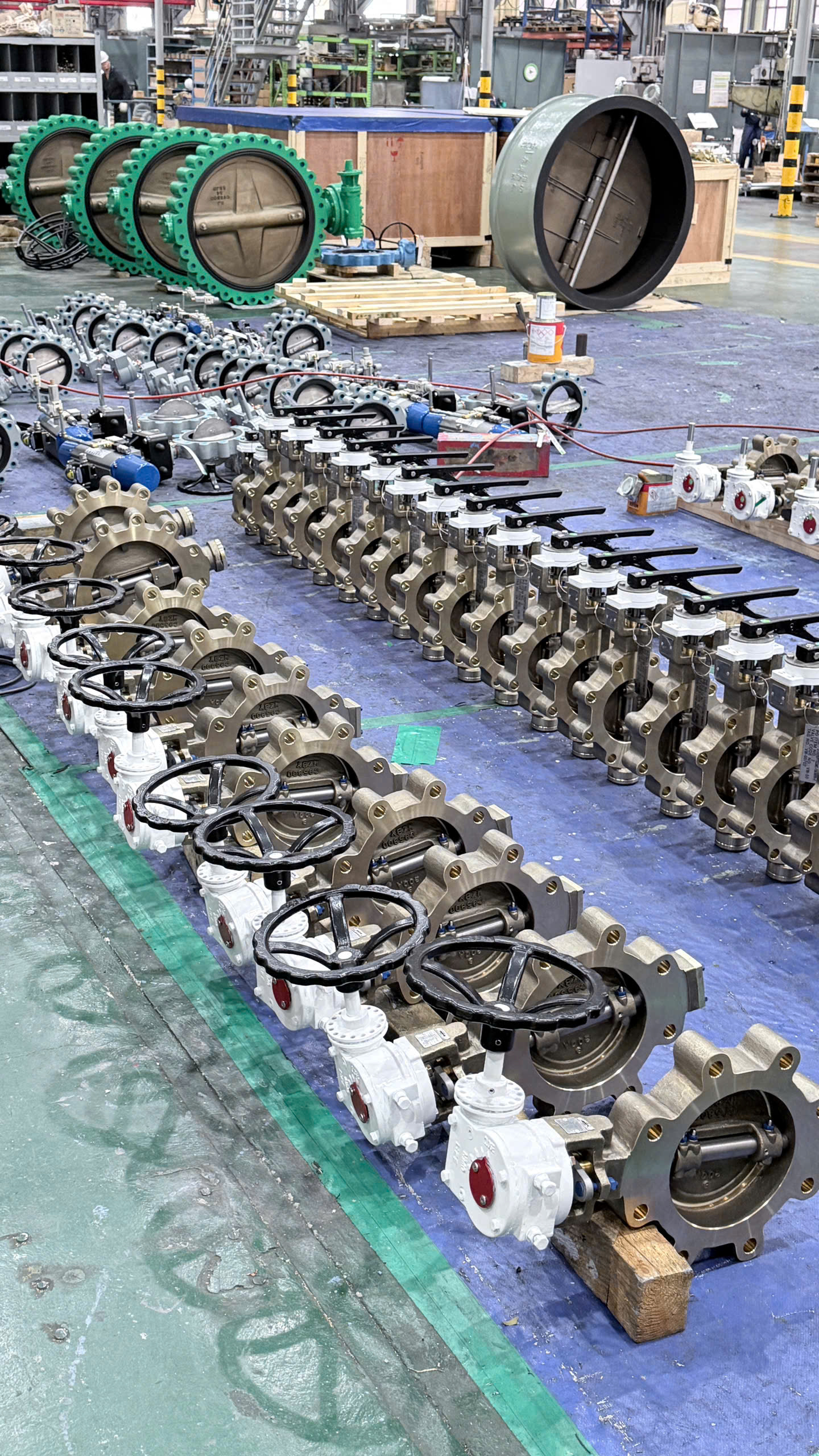 Butterfly Valve