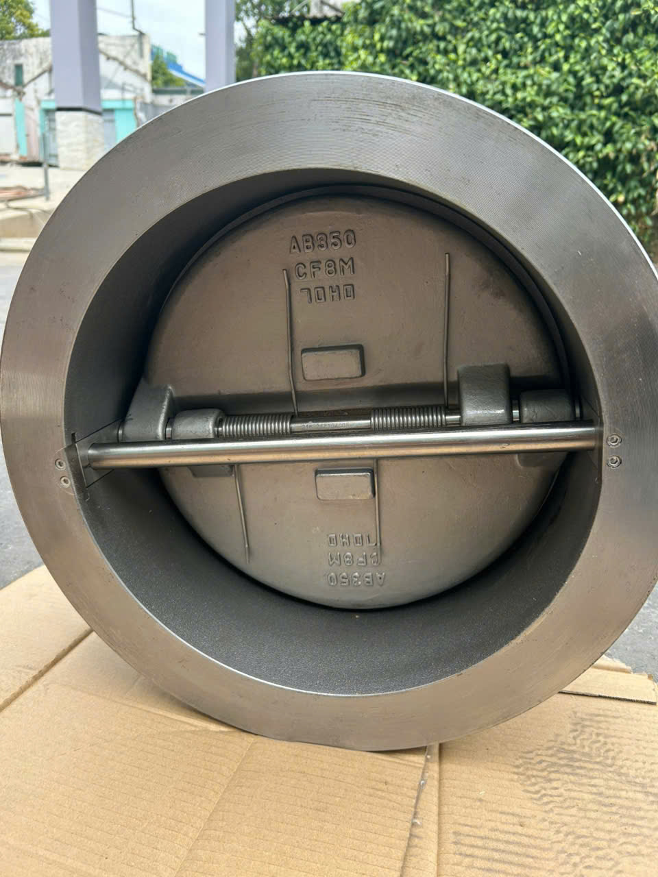 Dual Plate Check Valve