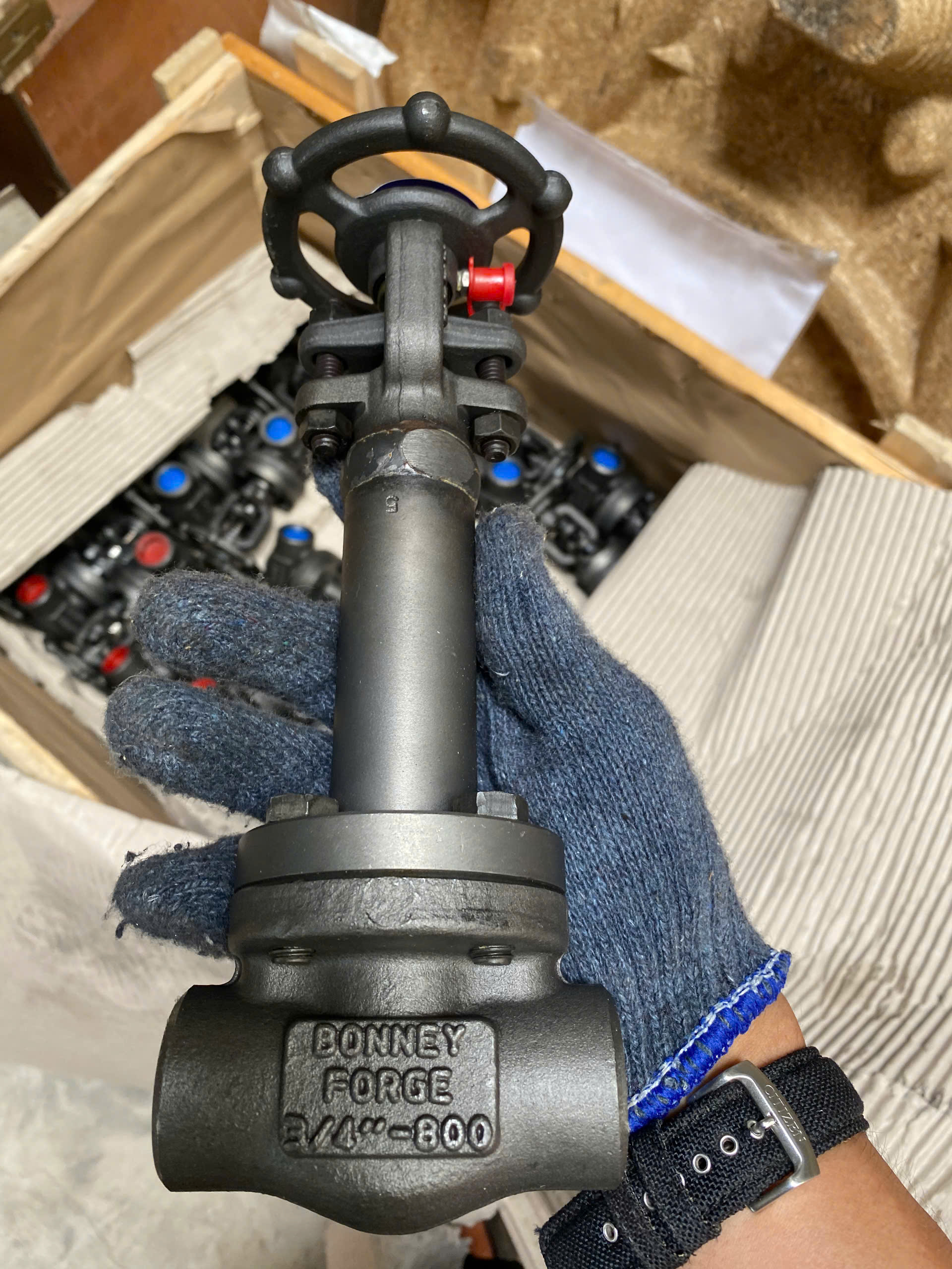 Forged Bellows Gate Valve