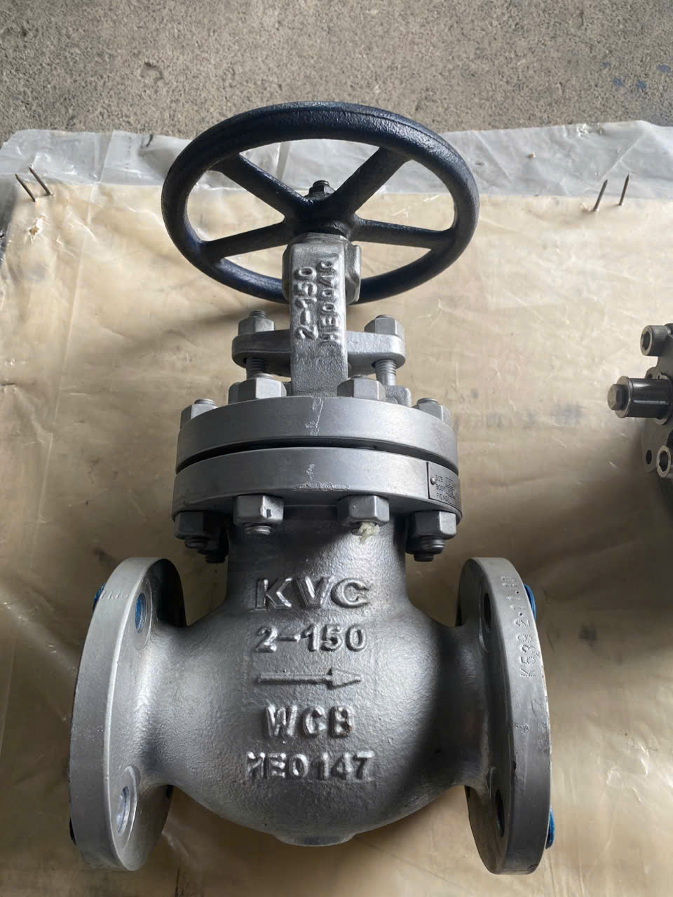 Globe Valve