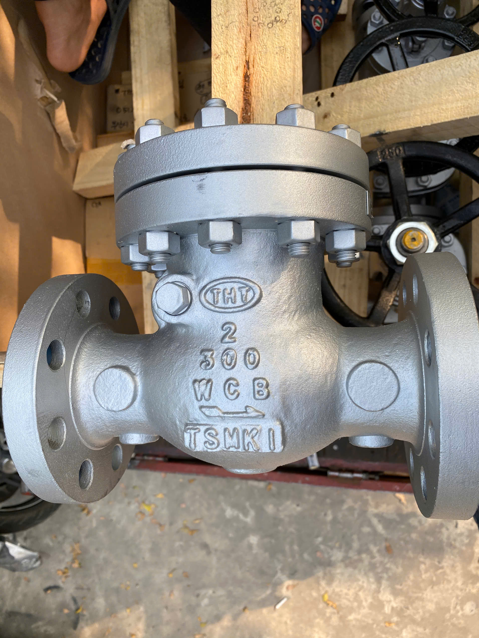 Swing Check Valve