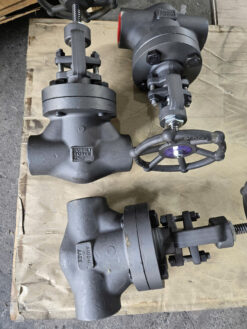 Van cầu Bonney Forge Class 1500